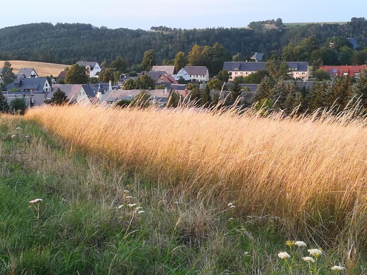 Ferienwohnung Rauscher アルテンベルク エクステリア 写真